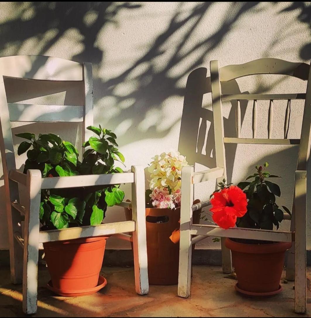 Secret Garden Home Lagonissi Attiki Melissourgoú Exterior foto